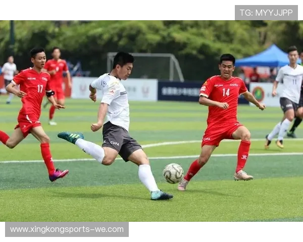 中国体育发展新趋势与国际竞技实力全面提升研究